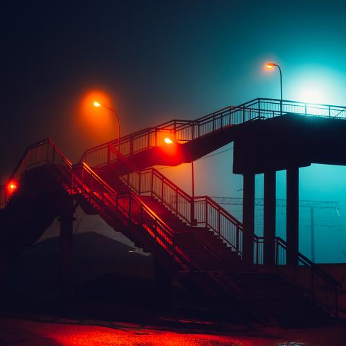 Photo #3558544
