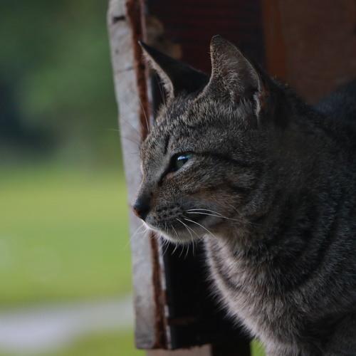 Photo #3558546