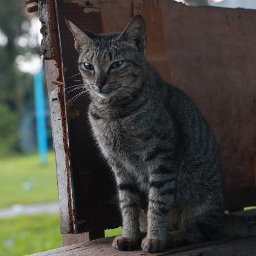 Photo #3558547