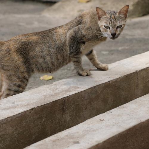 Photo #3558548