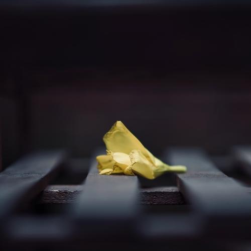 Photo #3558727