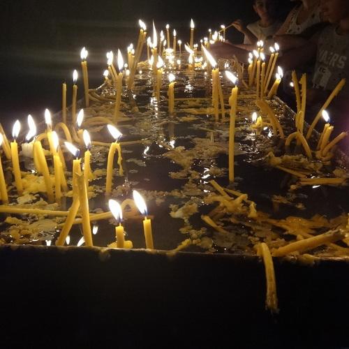 Photo #3559069