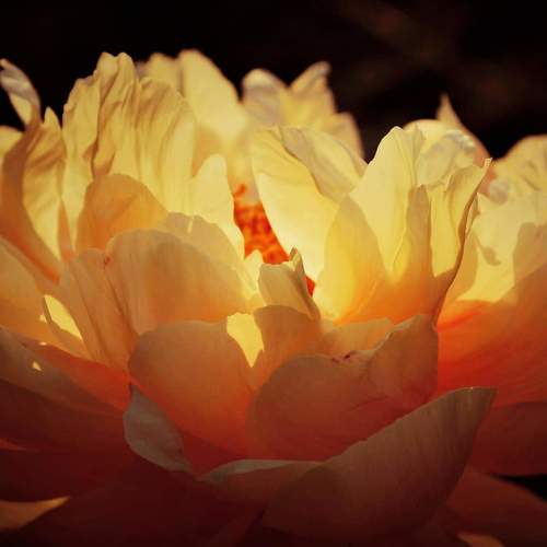 Photo #3559108