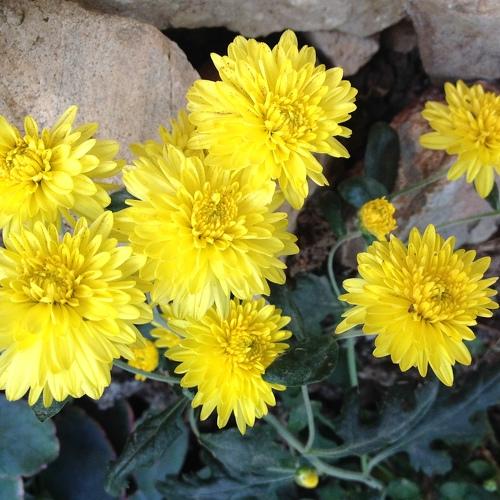 Photo #3559407