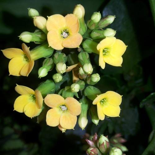 Photo #3559414
