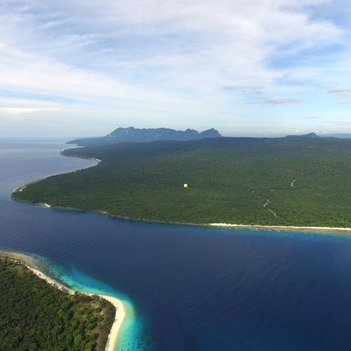 Photo #3559482