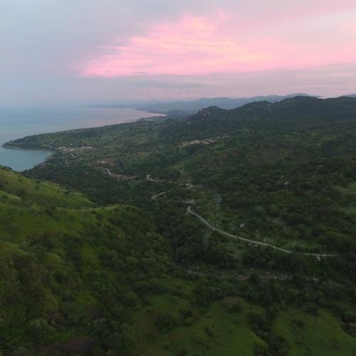 Photo #3559528