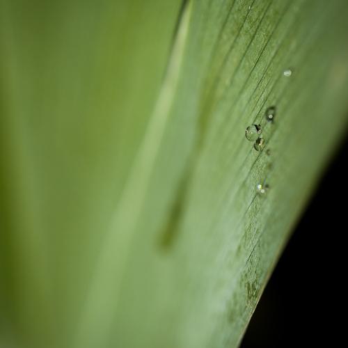 Photo #3559574