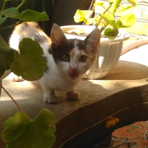 Photo #3559672