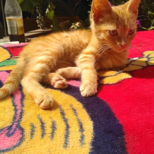 Photo #3559675