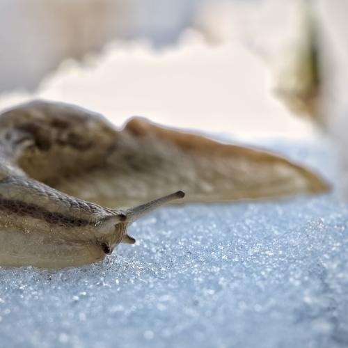 Photo #3559795