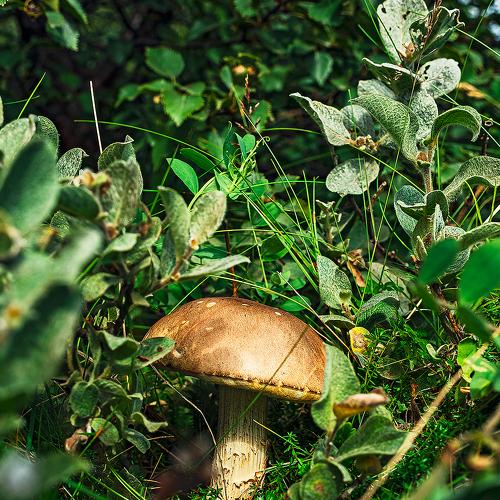 Photo #3559826