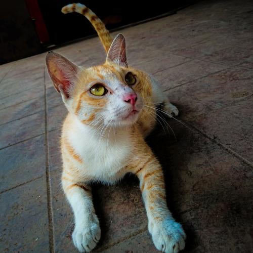 Photo #3560273