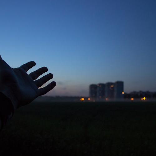 Photo #3560374