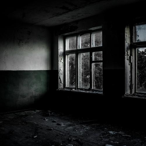 Photo #3560386