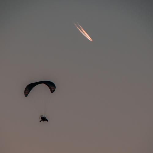 Photo #3560402