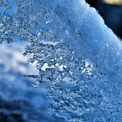 LACES OF ICE