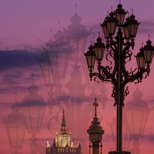 Photo #3561135