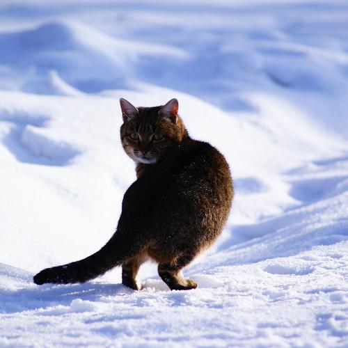 Photo #3561403