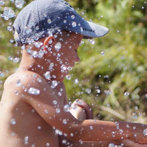 Photo #3561420