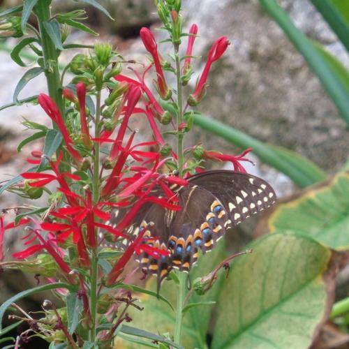 Photo #3561442