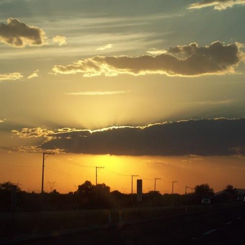 Photo #3561558