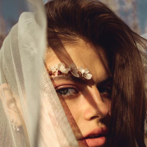 Photo #3561561