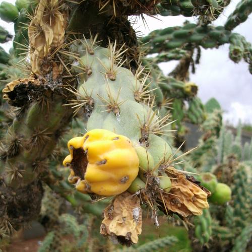 Photo #3561612