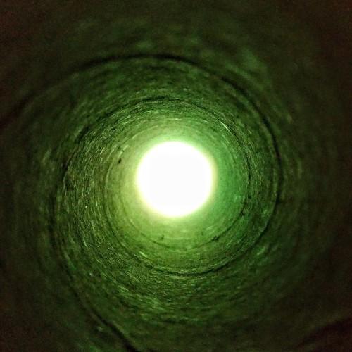 Photo #3561743