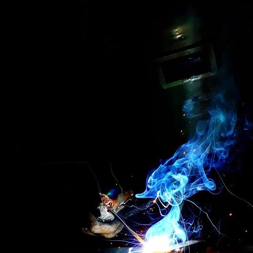 Photo #3561926
