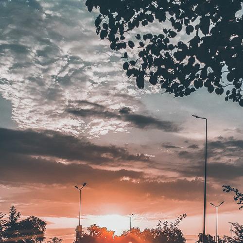 Photo #3562094
