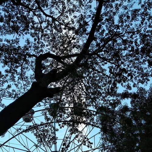 Photo #3562184