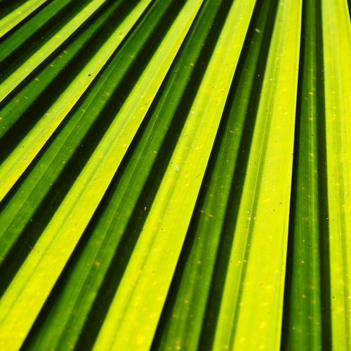 Photo #3562315