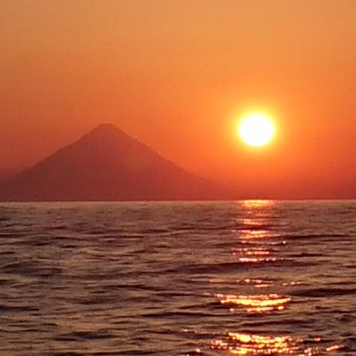 Photo #3562396