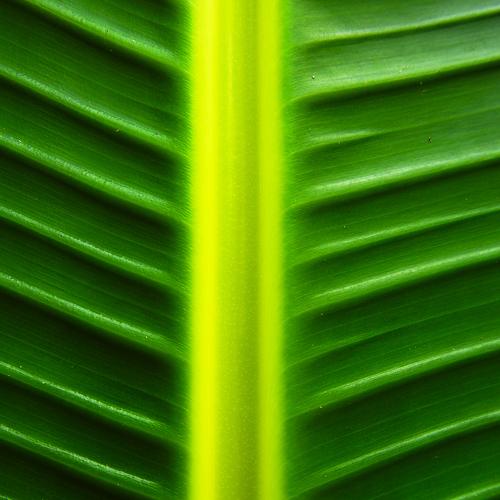 Photo #3562554