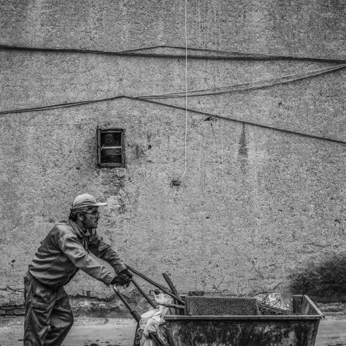 Photo #3562672