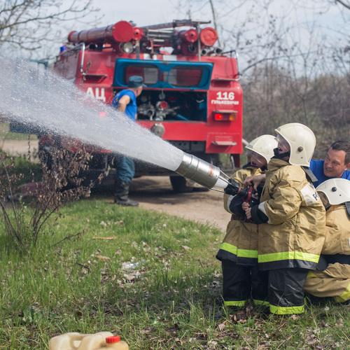 Photo #3562814
