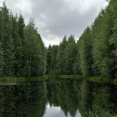 Photo #3563003