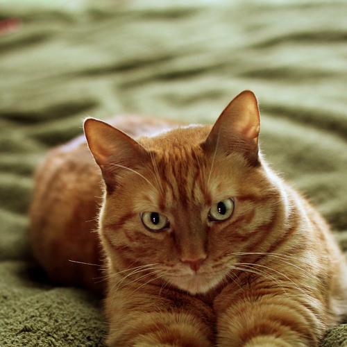 Photo #3563089