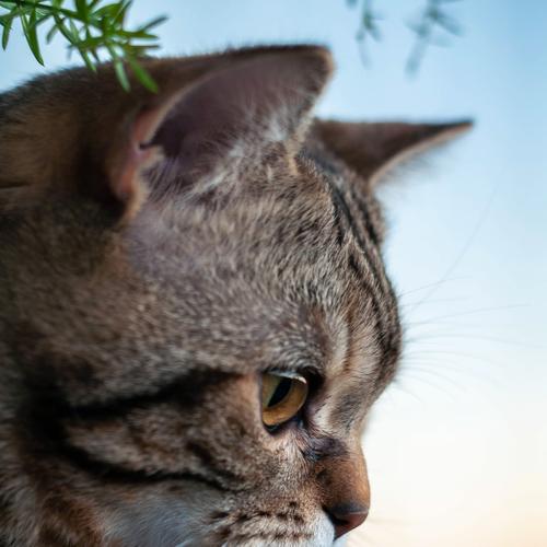 Photo #3563121