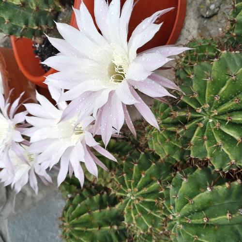 Photo #3563332