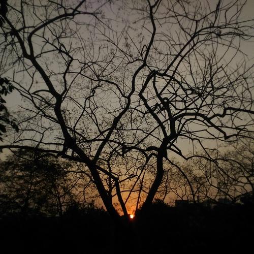 Photo #3563436