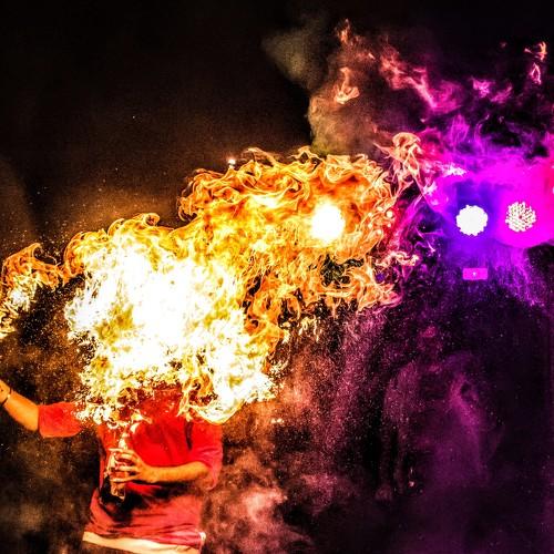 Photo #3563625