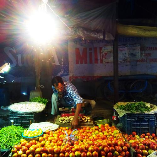 Photo #3563652