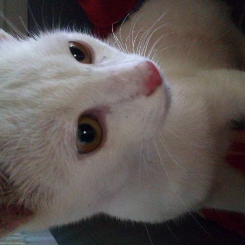 Photo #3564026