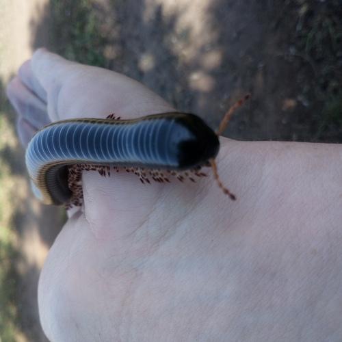 Photo #3564036