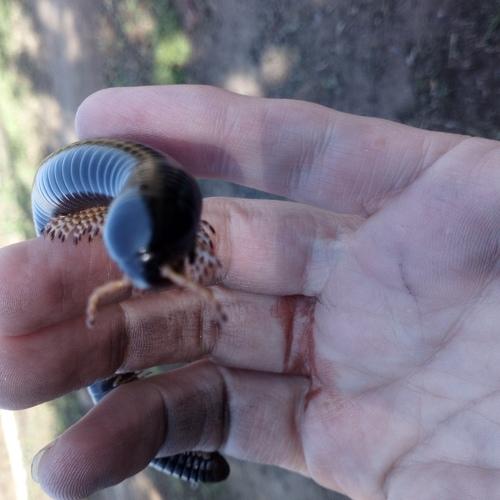 Photo #3564039