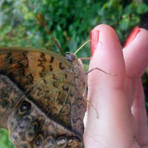 Photo #3564050