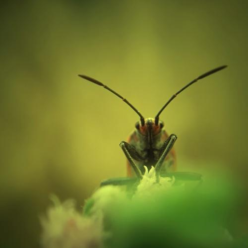 Photo #3564108