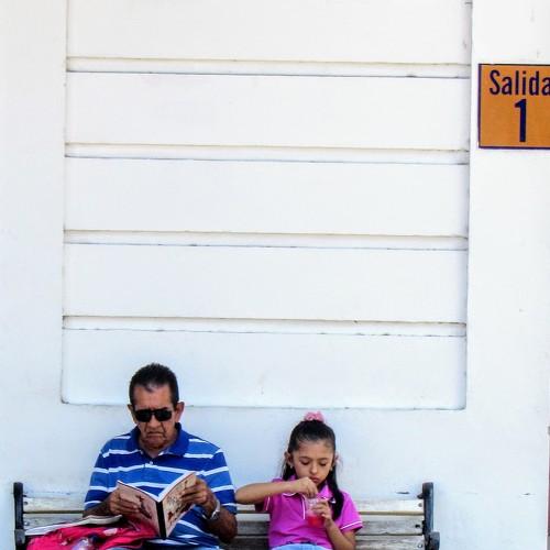 Nunca es tarde para aprender ciclo de vida y conocimiento